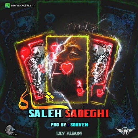 صالح صادقی شاه