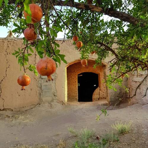 میخندمو دنیا نمیخنده باز بس که صدای خسته داره این ساز