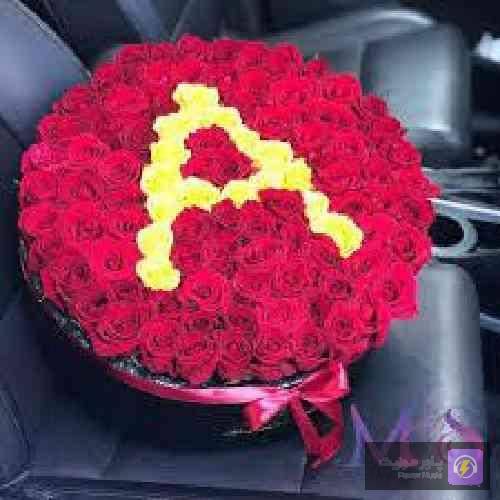  مونده تا اینو بفهمی من پُرو تر از خیلیا
