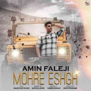 دانلود آهنگ فرشته ی آسمانی مانگ کم تیره و لدی رخد از امین فالجی