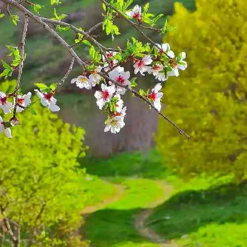 متی 401