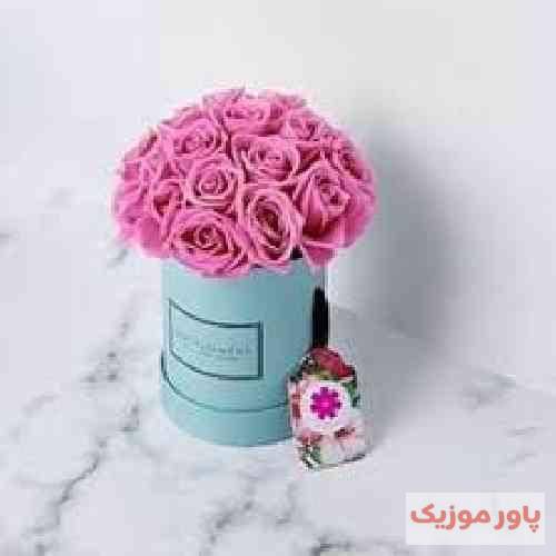 خستم مثه معتادی که تو خماری زد تو گوش مادرش