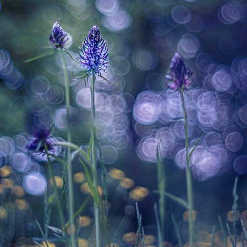  ای روزگار نامرد دارم ازت شکایت