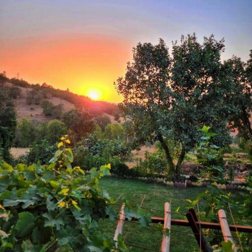  اصلا نمیدونم بزنم تو رو چی صدات