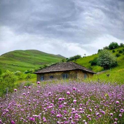 با صدای زن اینکه من بیخیال اینجوری ام حرف کمی نیست