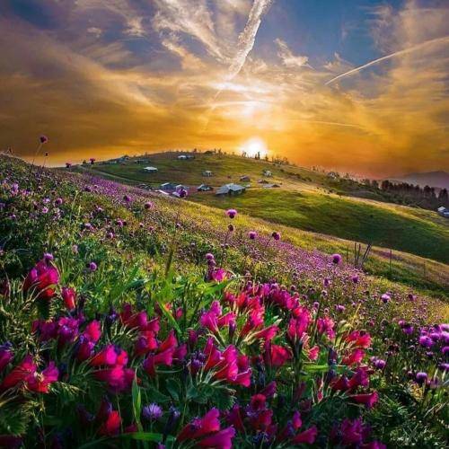 علی باقری تنها موندم