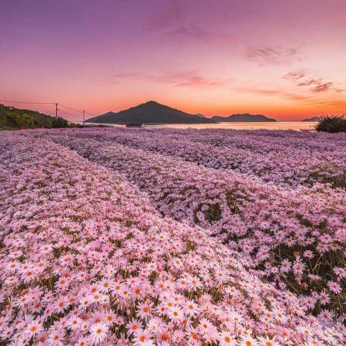 جواد حصاری باخده گئده