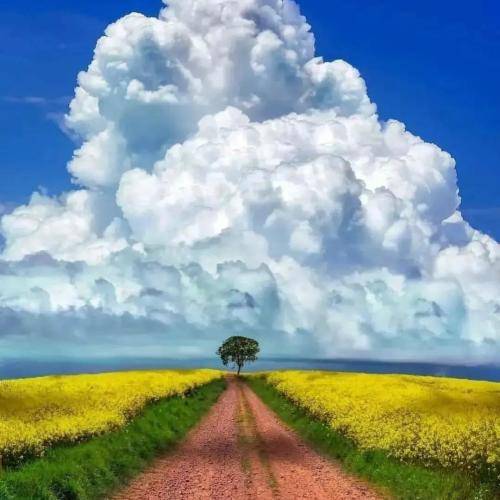  لو کنت نویت تعشق لا تعشق الطویله