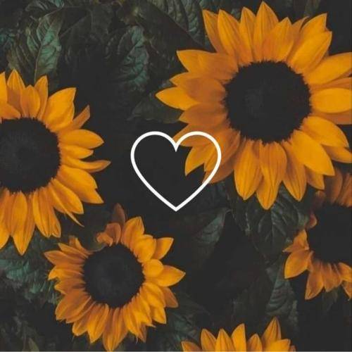  شبا تیره بود شده تیره تر
