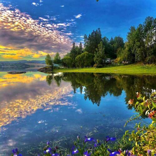  زار تونوم خار تونوم زانی که بیمار تونوم