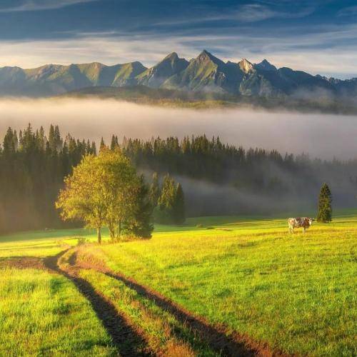 آهنگ جدید جایی که بودمو جز خودم فقط کف کفشا دیدن آینه رو میکشنم صدتا میشم