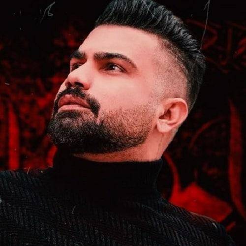 فرهاد جهانگیری فانوس