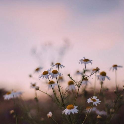 دلنیا رزازی ئازیزم