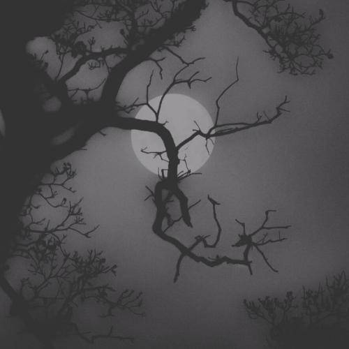 مجید حسینی دلبر از داغ ته سر دمه خونش دلبر بیقرارم