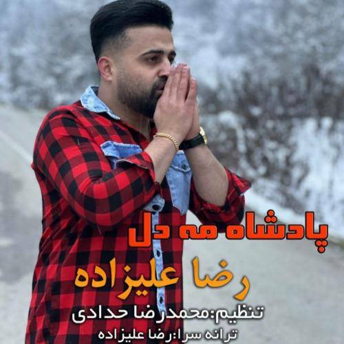 رضا علیزاده پادشاه مه دل