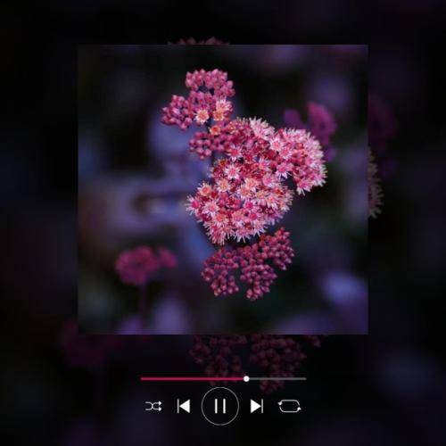 حسین حمیدی روزگار