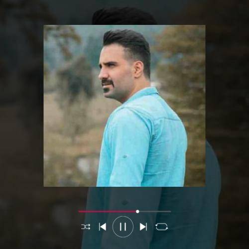 میثم خاکپور شاه کربلا