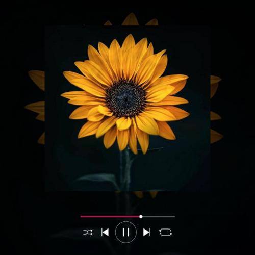 آریا بختیاری سیگار