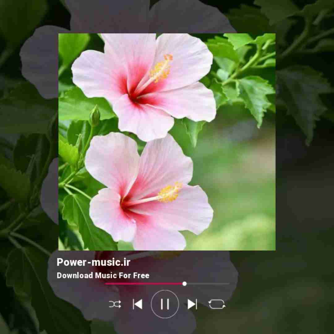  دلبر من دلبر من چه نازی داره با صدای بچه