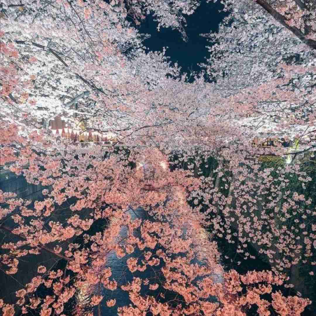  حس می کردم از وجودم زندگی عبور کرد