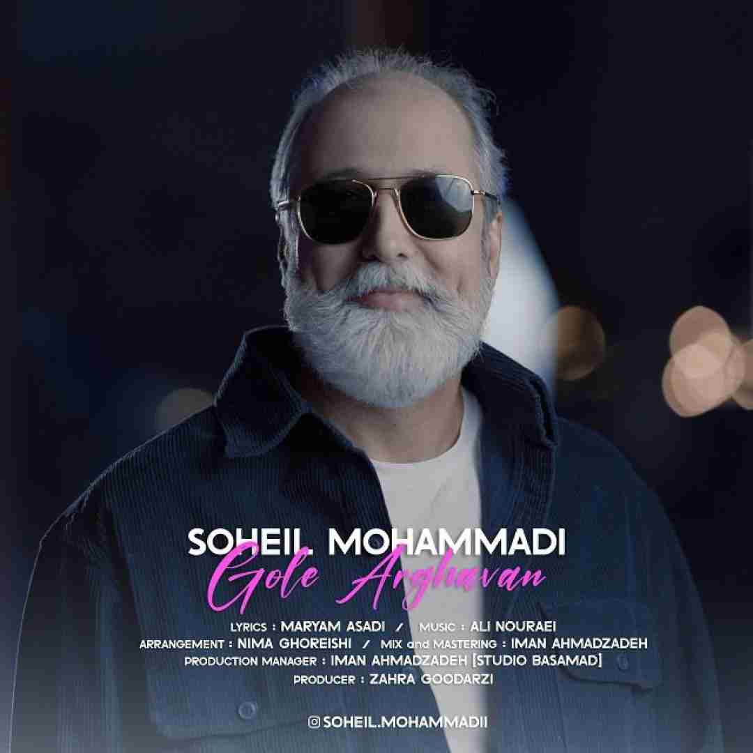 سهیل محمدی گل ارغوان