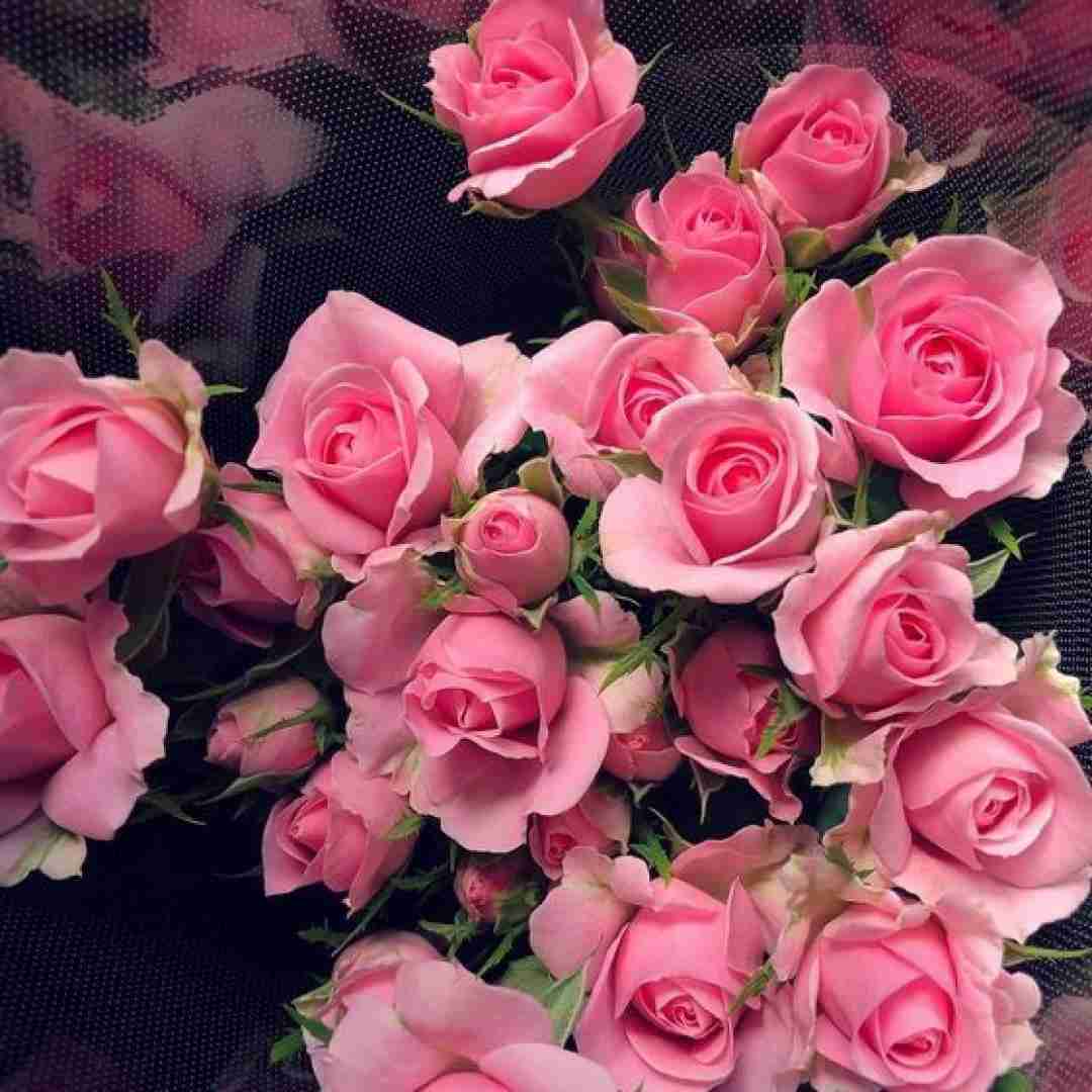 فاطمه مهلبان انگار ما گم گشته ایم