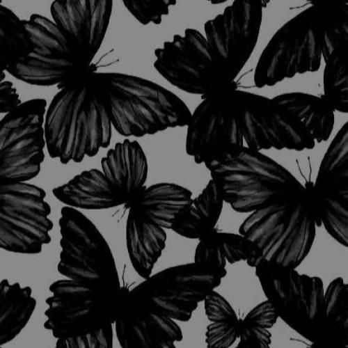 فاطمه عطایی یادش بخیر