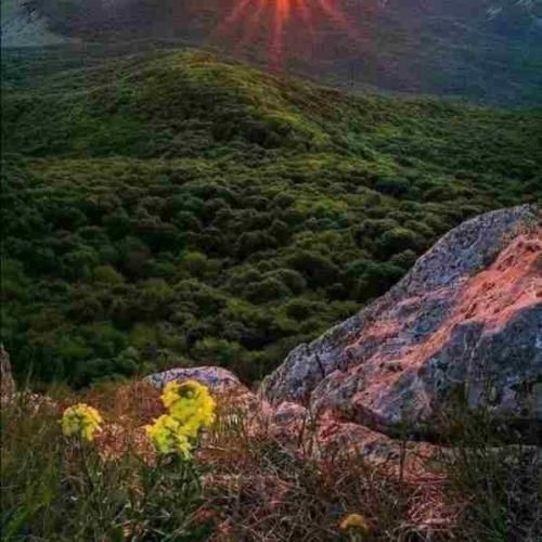 فاطمه عطایی فلک