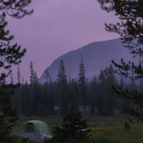 وقتی صدای لایکات نمیاد تو پیجمون - ترند