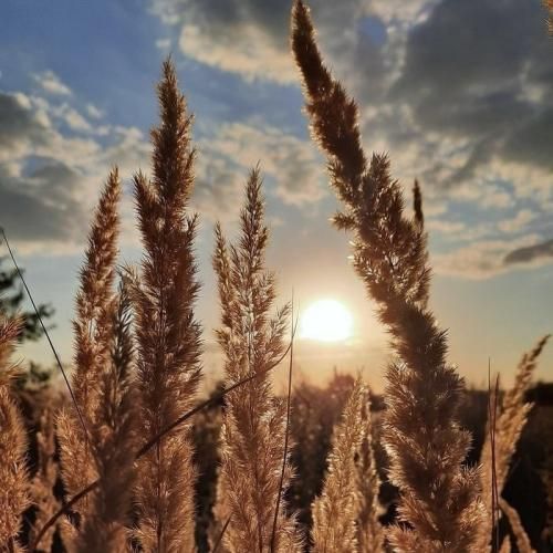 باورم نکردی رسیدم هر طور واسه من شیرینه