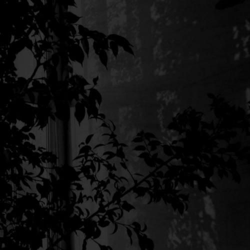 سیمگه تاکسی