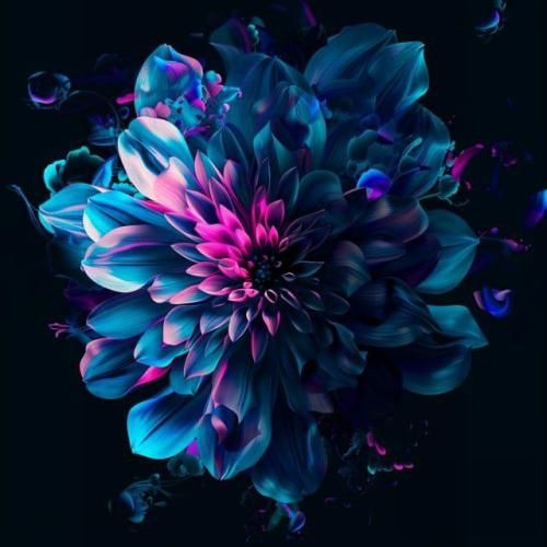 فاطمه عطایی ته وسه