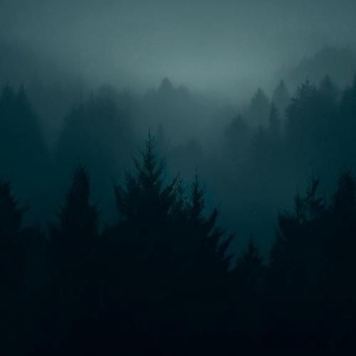 ستایش صادق زاده گل از تو بویرم