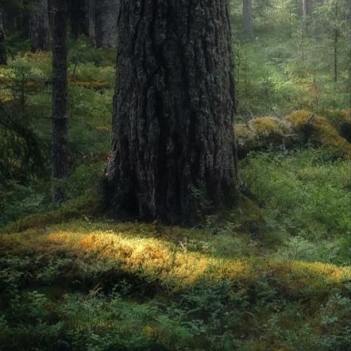 حالا من موندمو این ویرونه ها پر خشم و کینه ی