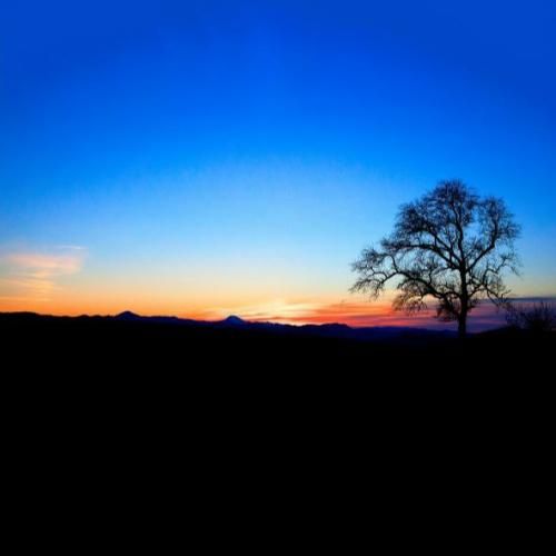 من با تو دیدم که مرگ پس میکشه یه مغروق