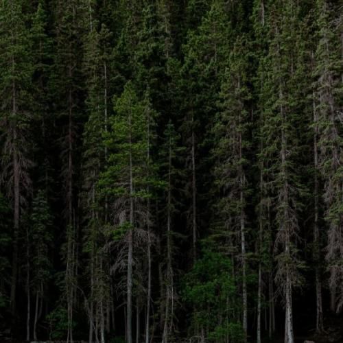  دل بده حال میده رفاقت با ما دروغ میگن