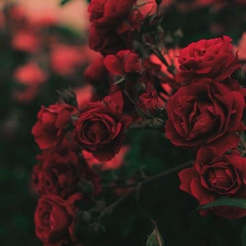 آخه با من الکی میکنی کل کل که چی فاز مسابقست