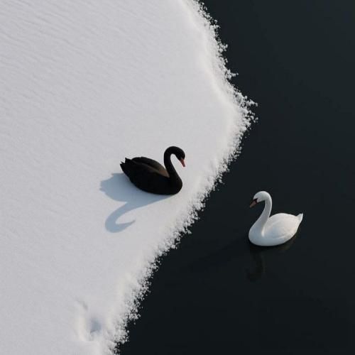  میگن مستیو راستی نشد هرچیو خواستیم