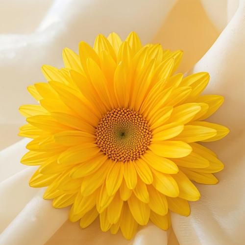  نسخ یه نفرم که منو درکم کنه نه با دیدن مشکلات