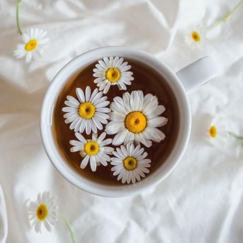 فاطمه عطایی کوهیار