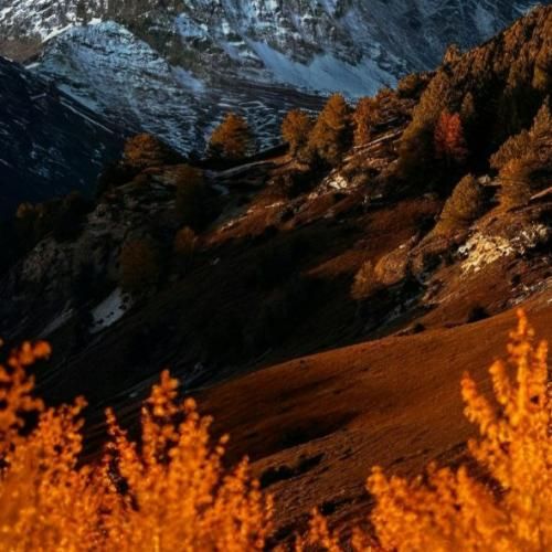 میدونم دلت مثل من پره بذار دستامو بپیچم