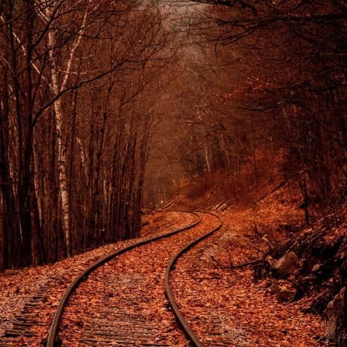  واقعیت اینه که چیزی که نباید شده دیگه