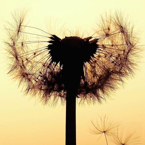 نمیدونم شایدم نمیدونی که سر هرچی بشه بهم میگی