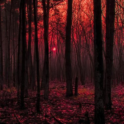 نگار محرم دولدوم تاشدم