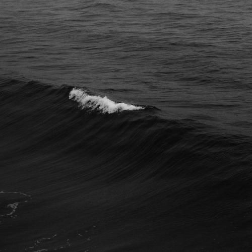  رپم غوله فیسم خوب با یه جوینت میشه