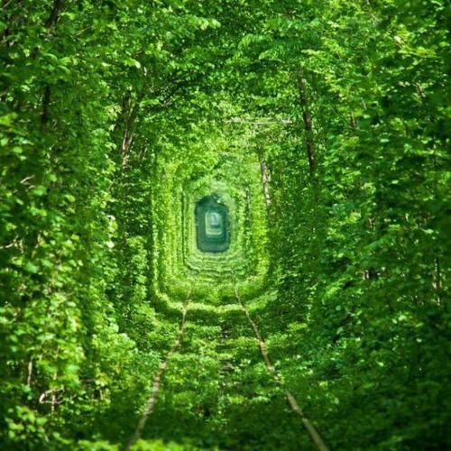  همیشه همه جا پکو پارم با چشای سرخ