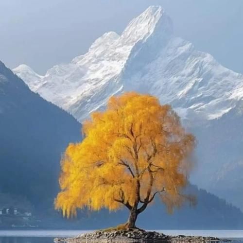  زدم از خودم یادت نیست من عوض شدم