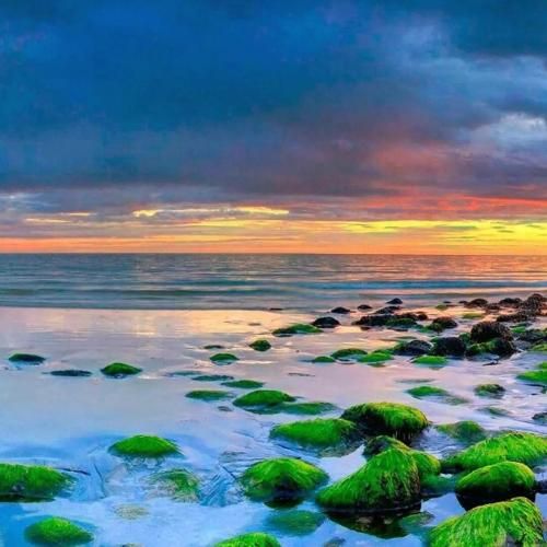  دو تا قد بلند تستی با من من رو لین میرم