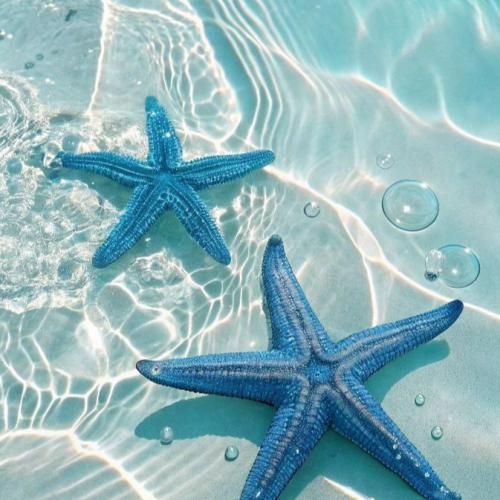 فاطمه عطایی مامان