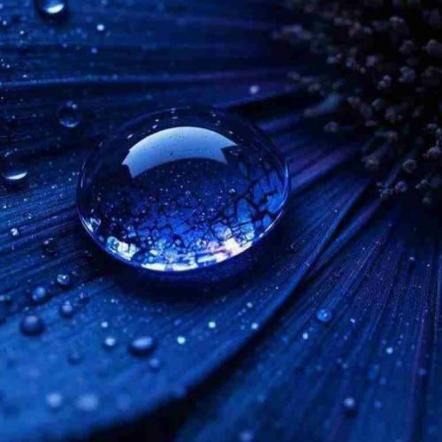  قلب از جا کنده حاجی با این جای خالی منو راحت بزارید